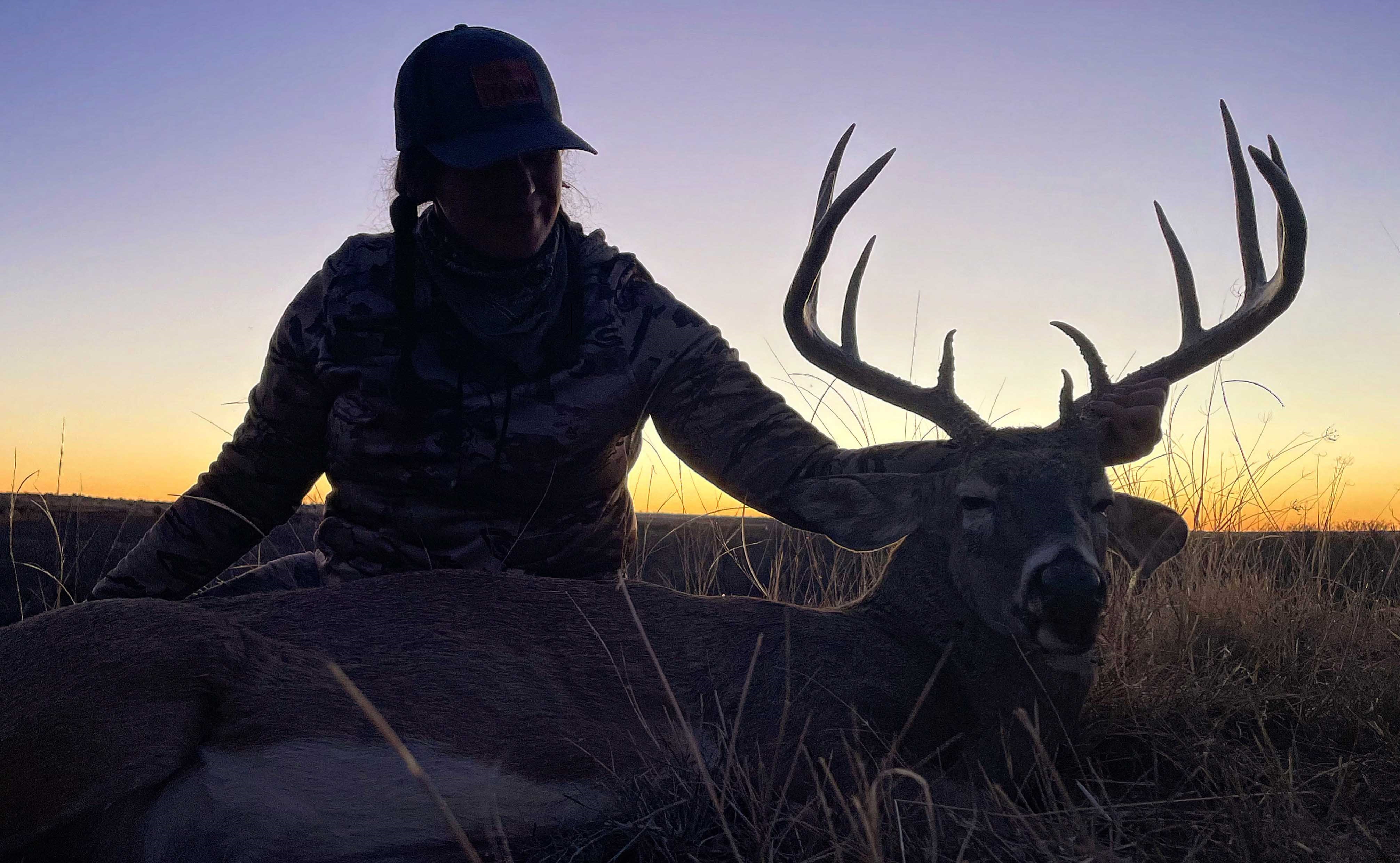 Wildtierkunde: Heimische Wildarten erkennen