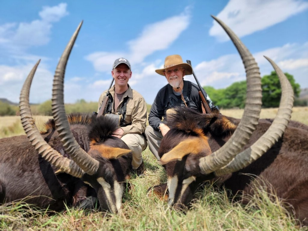 Wildbrethygiene und Verwertung: Der komplette Leitfaden